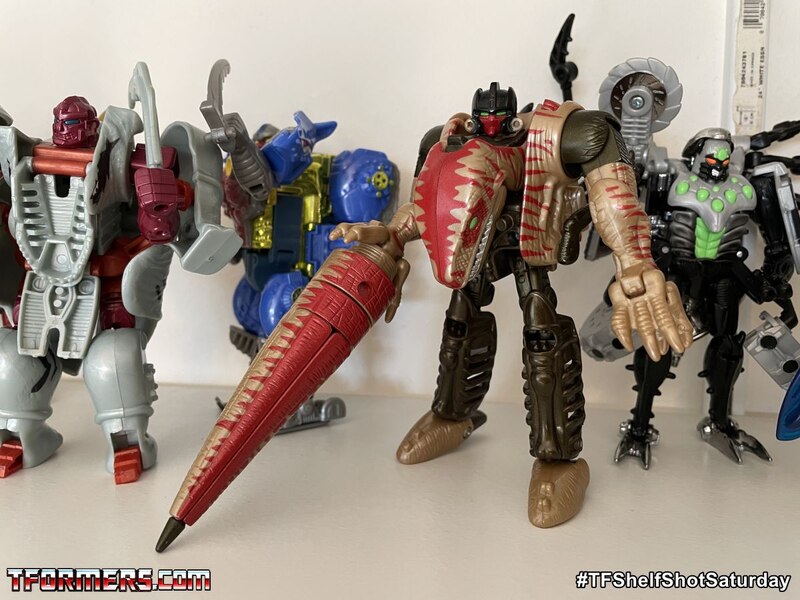 Beast Wars Fox Kids Repaints   TFShelfShotSaturday  (7 of 11)